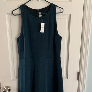 Ann Taylor Loft dress